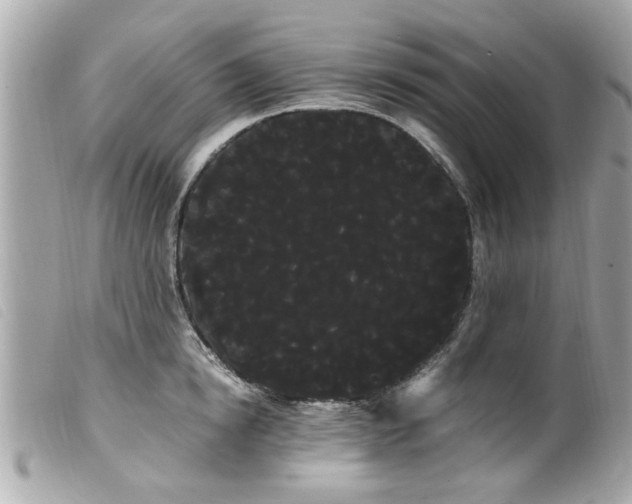 X0000100220854200805301345