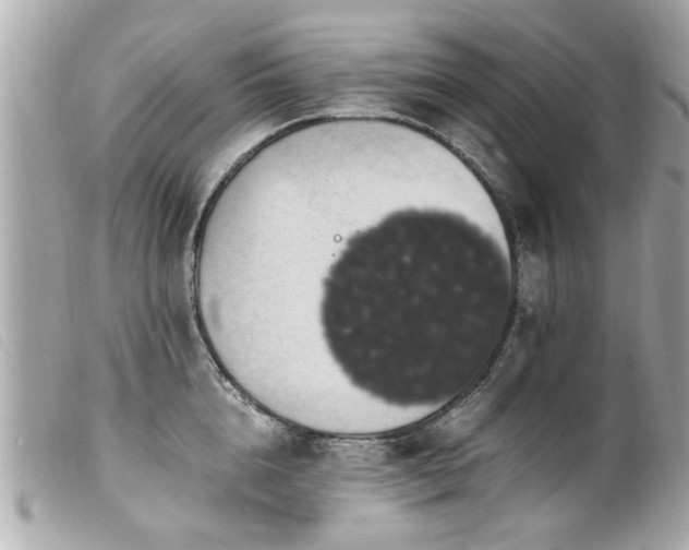 X0000100220856200805301345