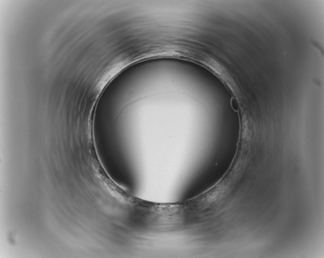 X0000100220858200805301345