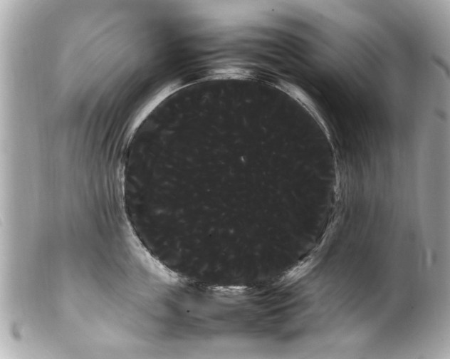 X0000100220859200805301345