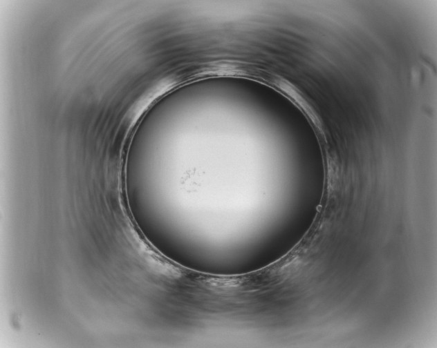 X0000100220861200805301345