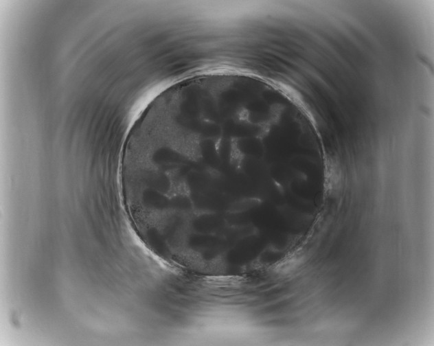 X0000100220863200805301345
