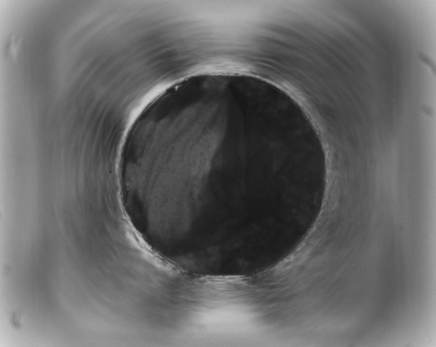 X0000100220864200805301345