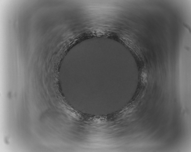 X0000100220865200805301345