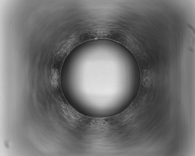 X0000100220866200805301345