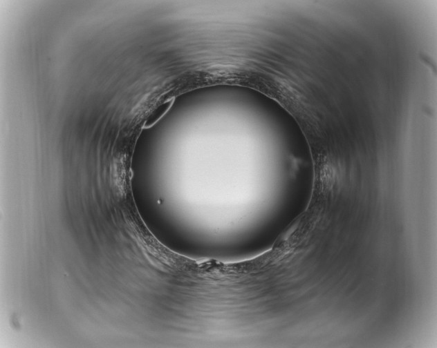 X0000100220868200805301345