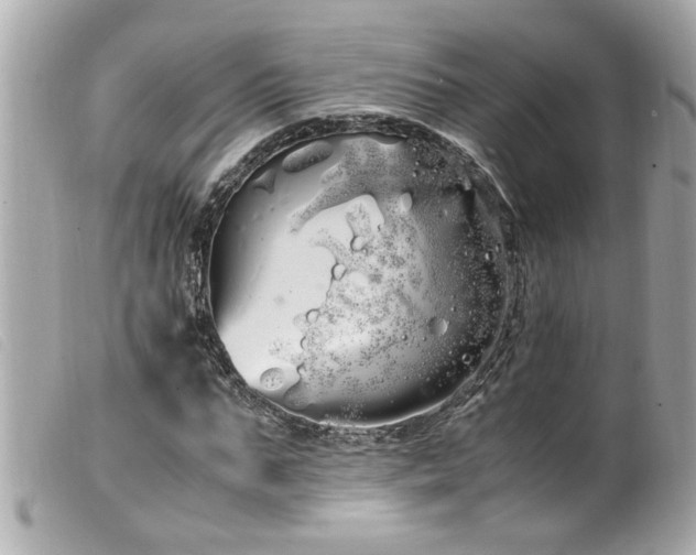 X0000100220871200805301345