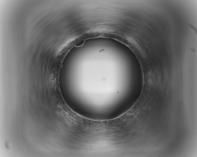 X0000100220872200805301345
