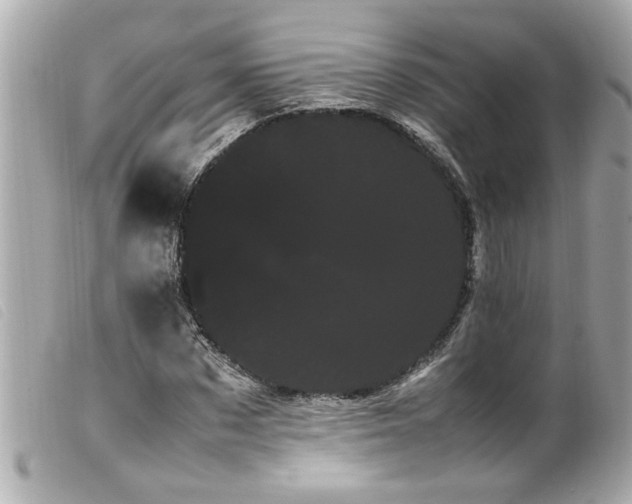 X0000100220873200805301345