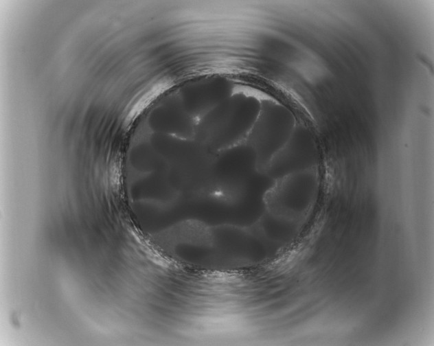 X0000100220874200805301344