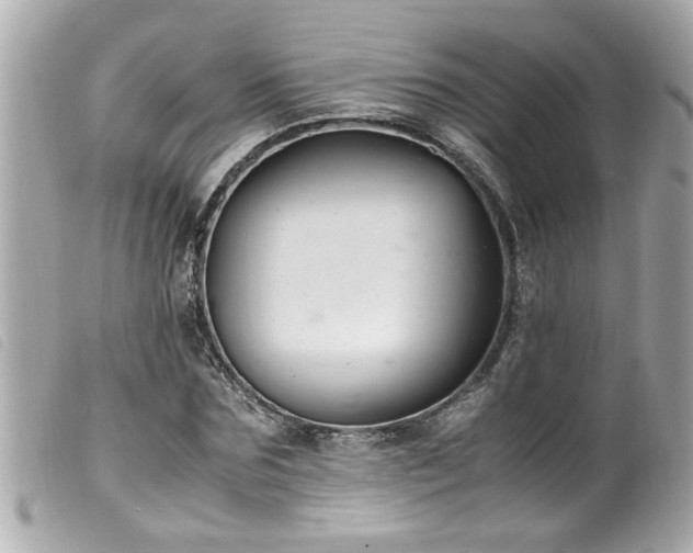 X0000100220875200805301344