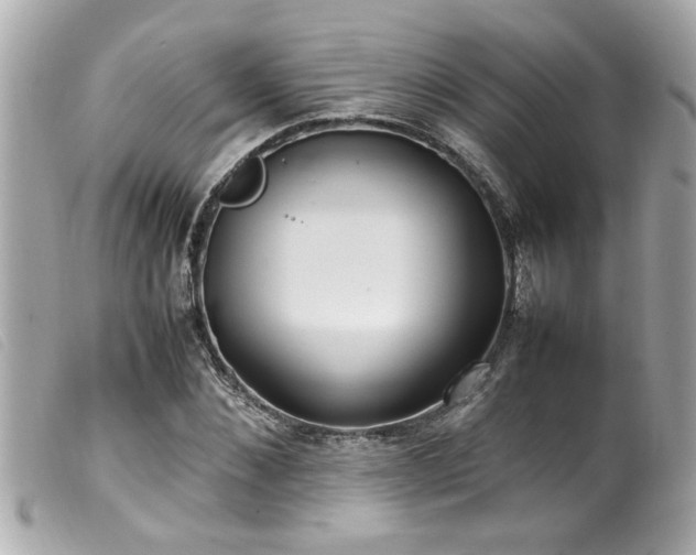 X0000100220876200805301344