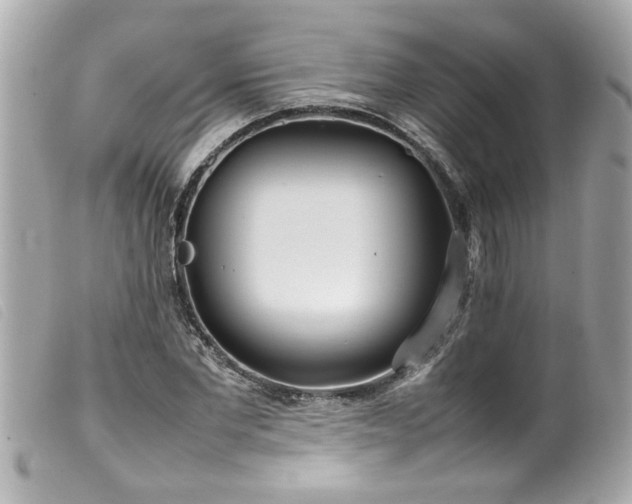 X0000100220877200805301344