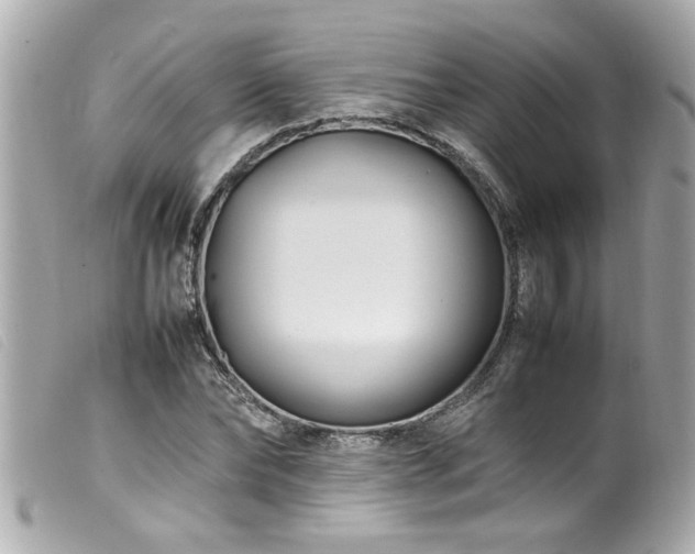 X0000100220878200805301344