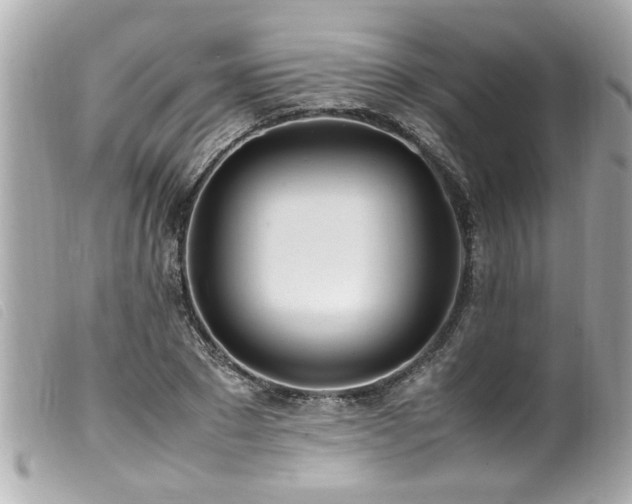 X0000100220881200805301344