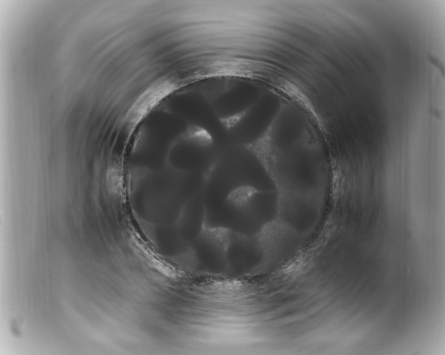 X0000100220882200805301344