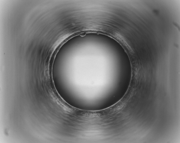 X0000100220884200805301344