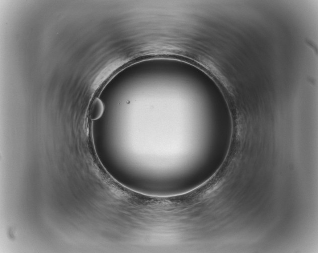 X0000100220885200805301344