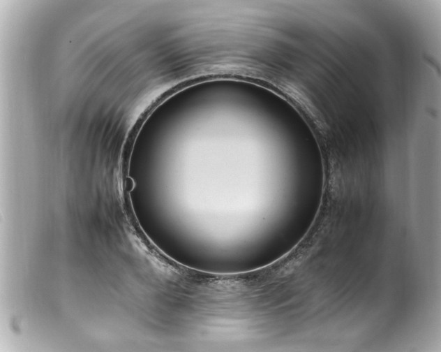X0000100220888200805301344