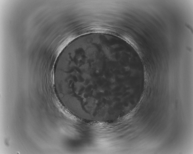 X0000100220891200805301344