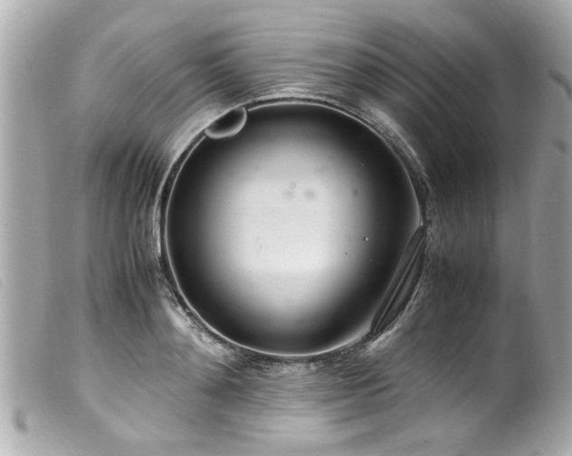 X0000100220892200805301344