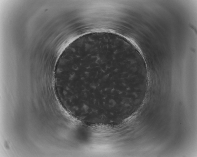 X0000100220895200805301344