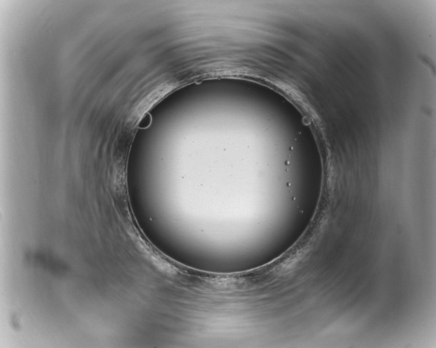 X0000100220897200805301344