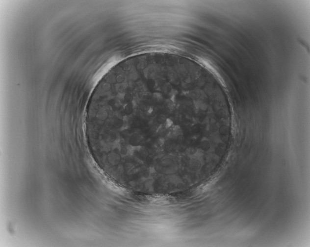 X0000100220899200805301344