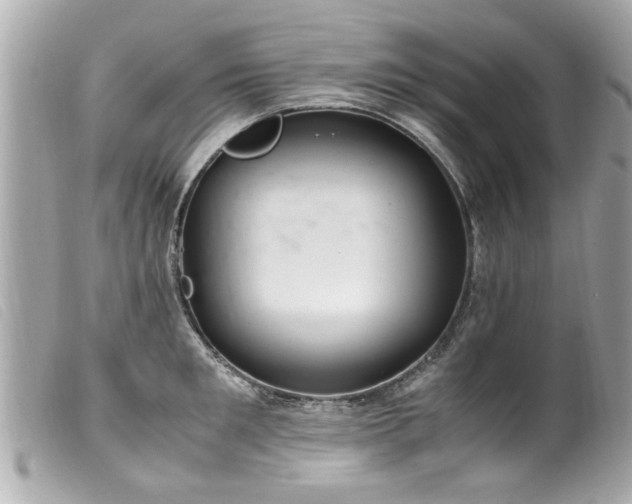 X0000100220901200805301344
