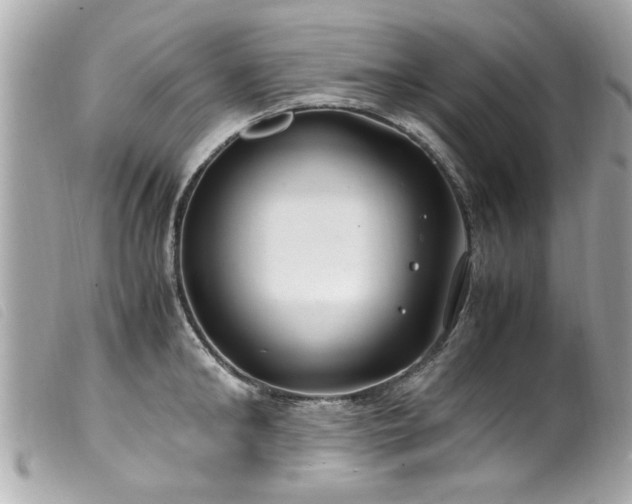 X0000100220902200805301344