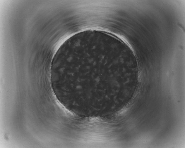 X0000100220903200805301344