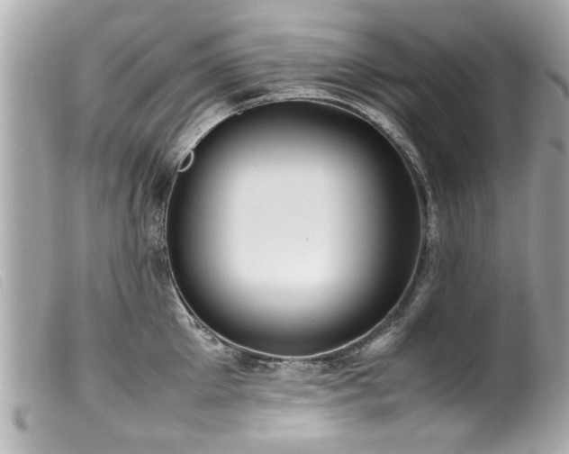 X0000100220905200805301344