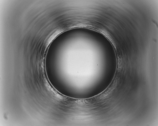 X0000100220906200805301344