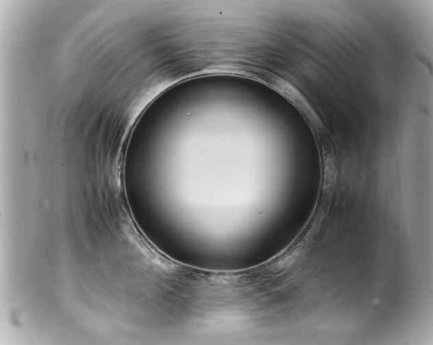 X0000100220908200805301344