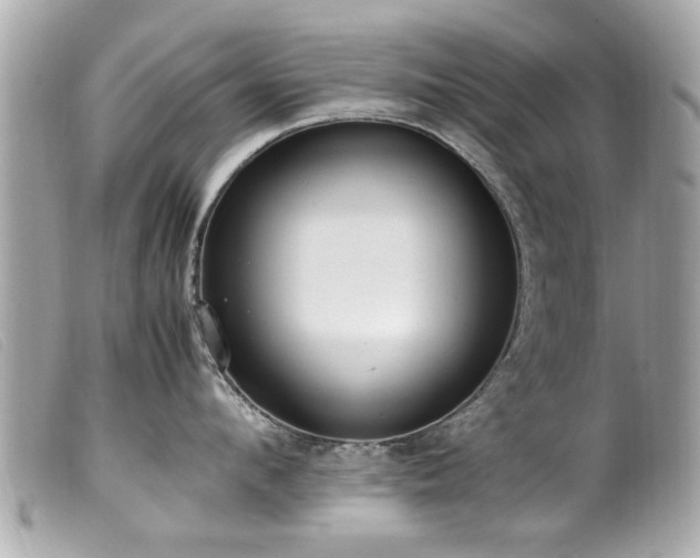 X0000100220912200805301344