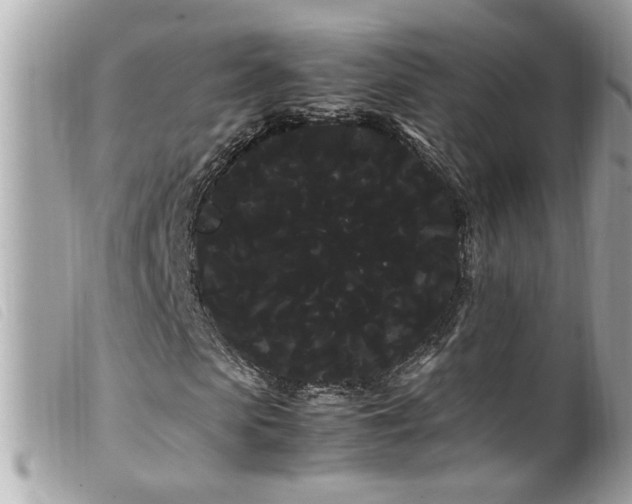 X0000100220913200805301343