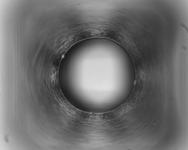 X0000100220914200805301343