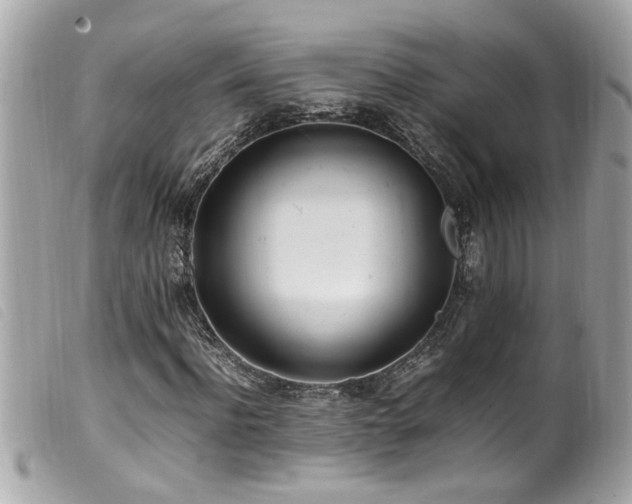 X0000100220916200805301343