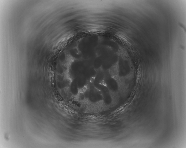 X0000100220917200805301343