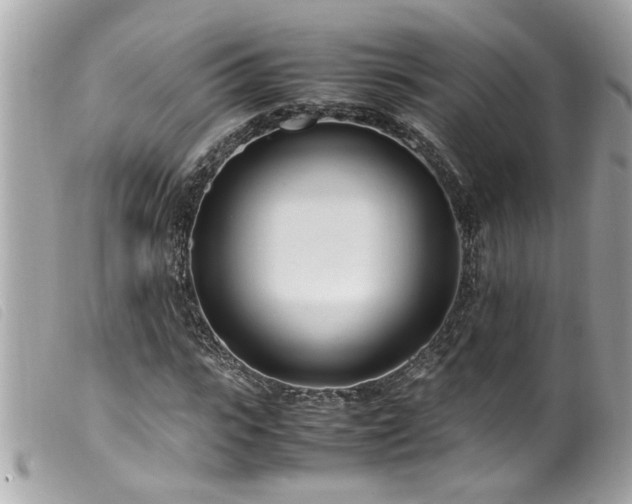 X0000100220919200805301343