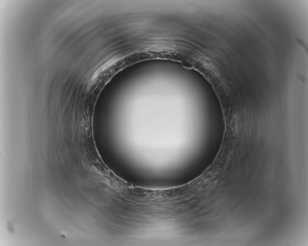 X0000100220920200805301343
