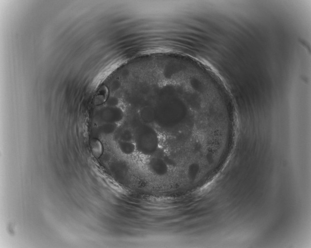 X0000100220921200805301343