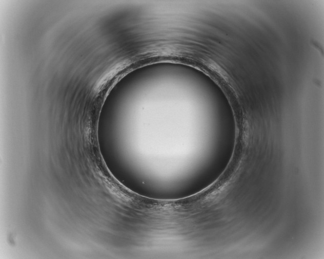 X0000100220922200805301343