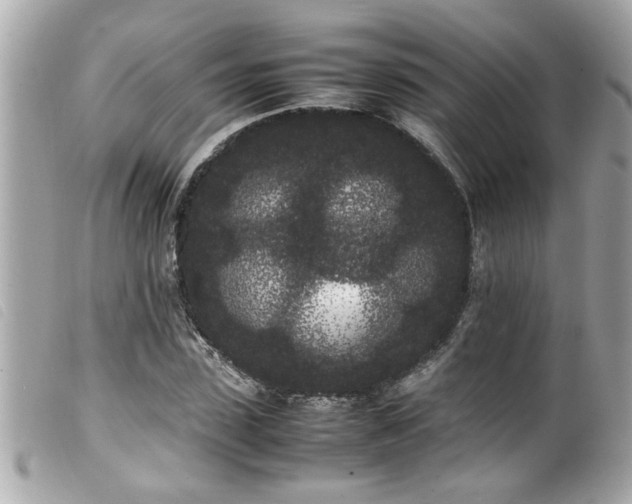 X0000100220923200805301343