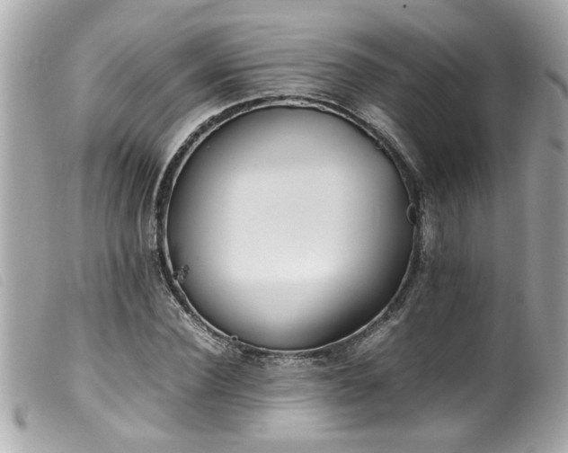 X0000100220924200805301344