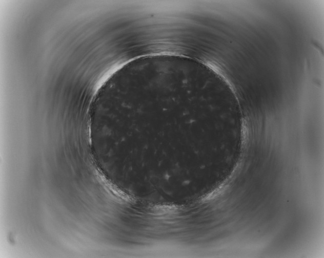X0000100220925200805301344