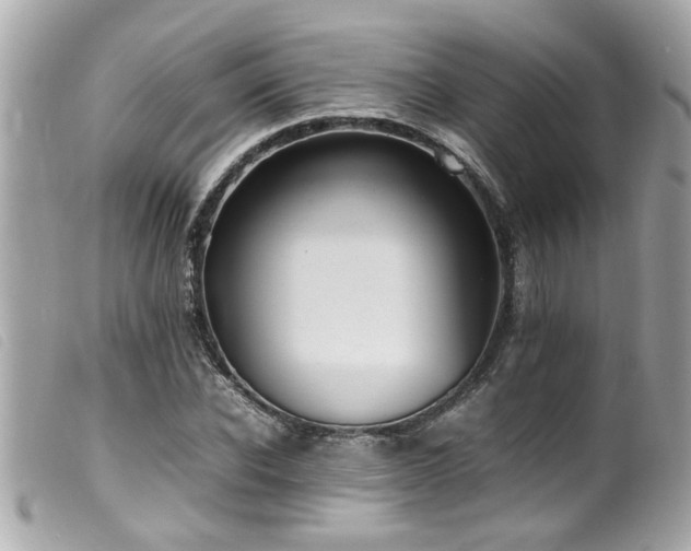 X0000100220926200805301344