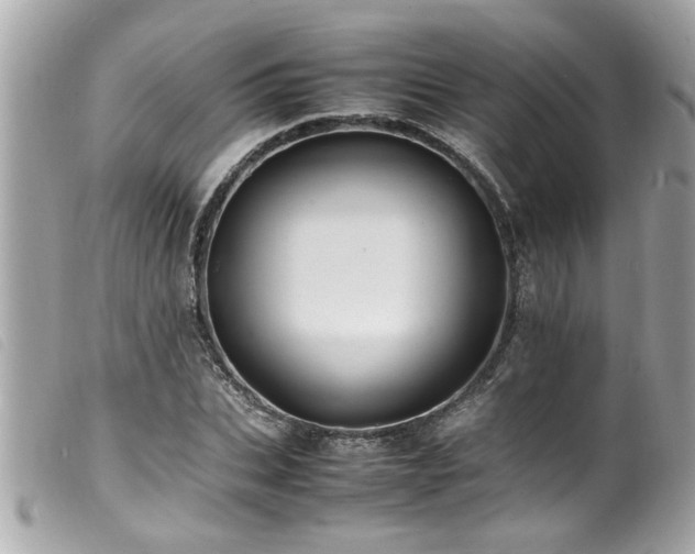 X0000100220927200805301344