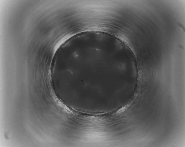 X0000100220928200805301344