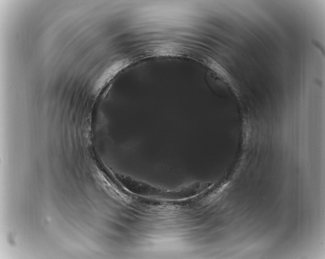 X0000100220930200805301344